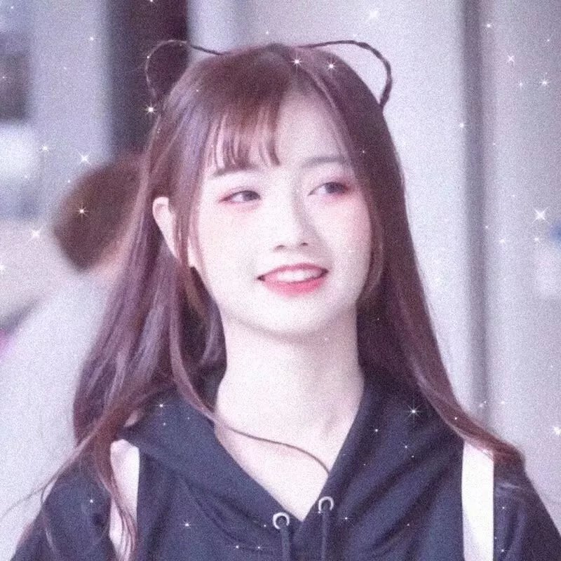 一只狗的大学时光