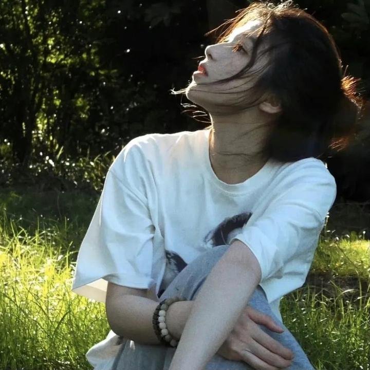 海龟们